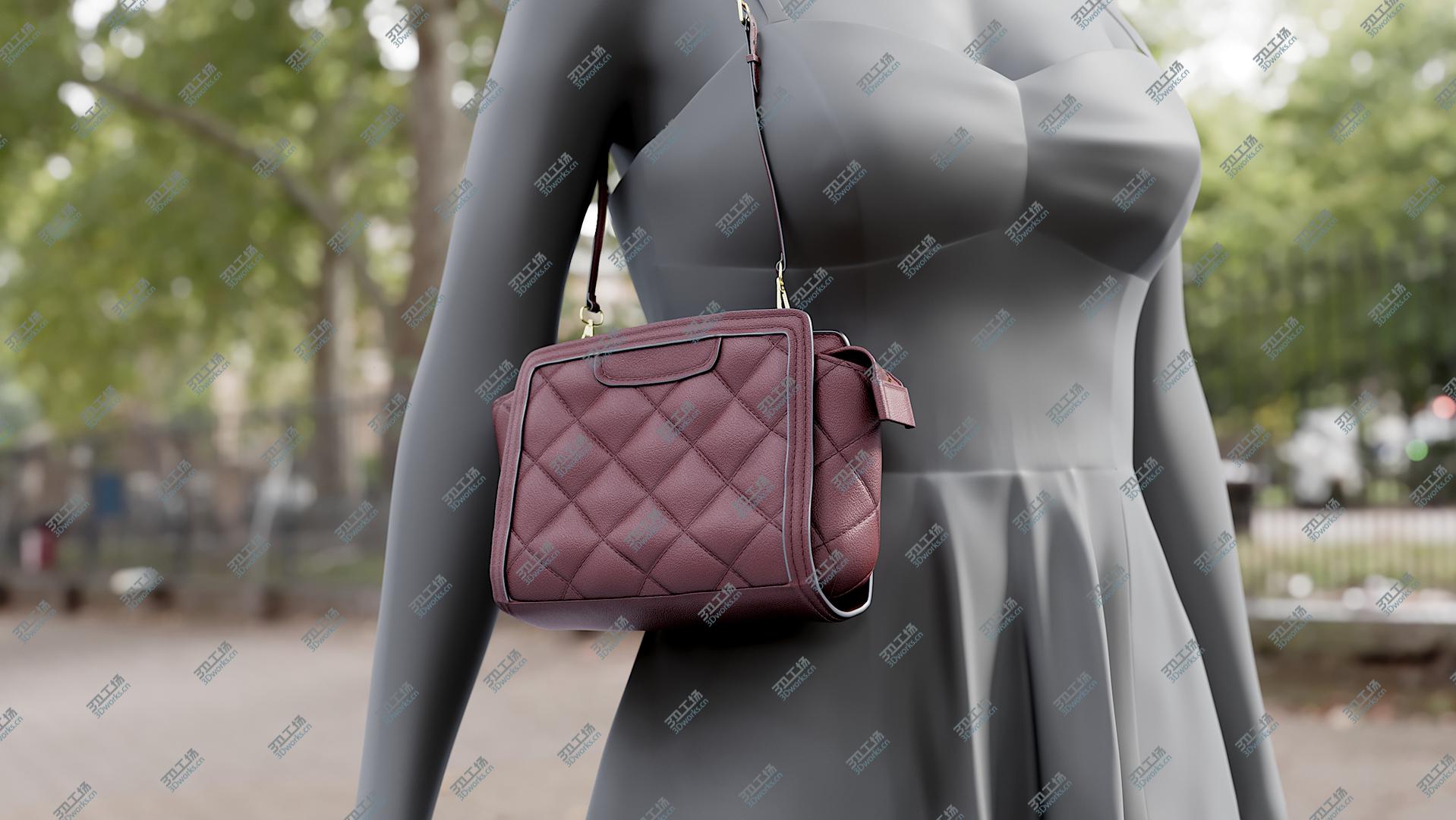 images/goods_img/202104094/Bags Collection 9 3D model/2.jpg